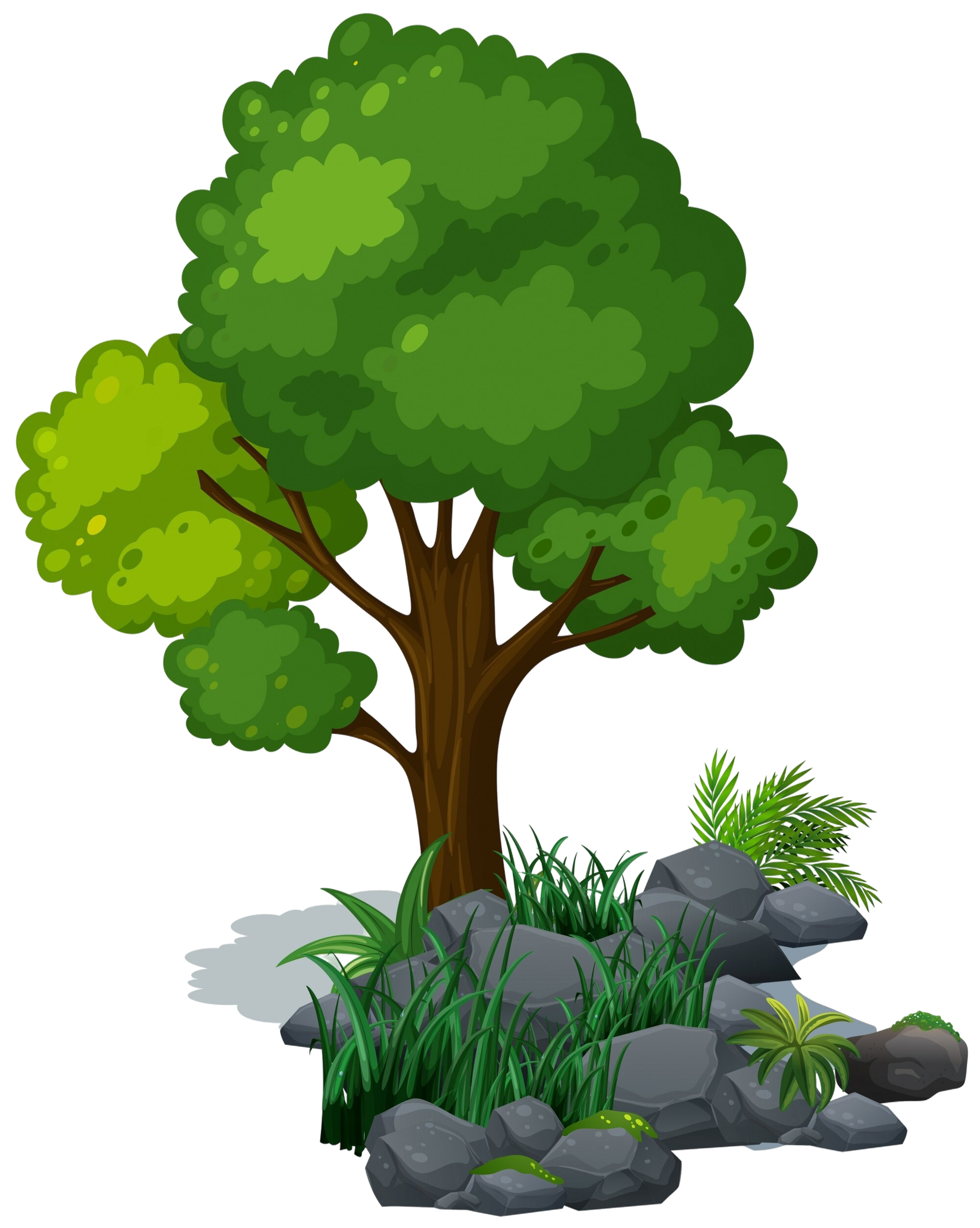 Planting Trees